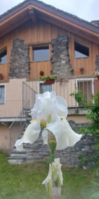 Valle D'Aosta A 360° - Ideal For Smart Working Aymavilles Esterno foto
